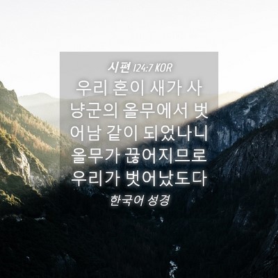 Picture 04 - 시편 124:7 KOR - 우리 혼이 새가 사냥군의 올무에서 - Bible Verse Picture