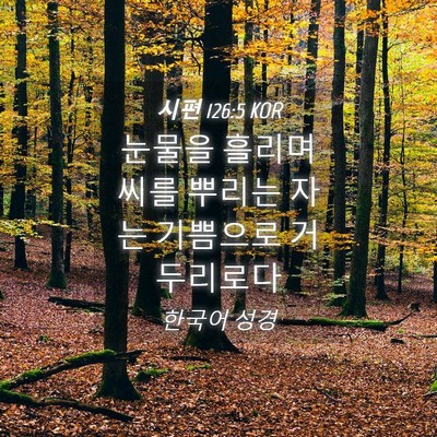 Picture 04 - 시편 126:5 KOR - 눈물을 흘리며 씨를 뿌리는 자는 - Bible Verse Picture