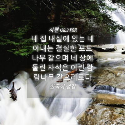 Picture 04 - 시편 128:3 KOR - 네 집 내실에 있는 네 아내는 결실한 - Bible Verse Picture