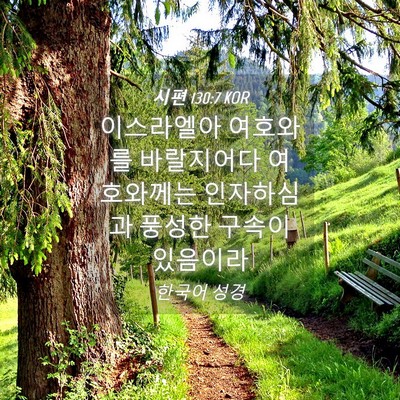 Picture 04 - 시편 130:7 KOR - 이스라엘아 여호와를 바랄지어다 - Bible Verse Picture