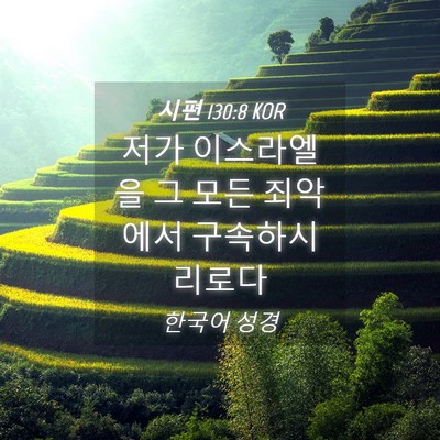 Picture 04 - 시편 130:8 KOR - 저가 이스라엘을 그 모든 죄악에서 - Bible Verse Picture
