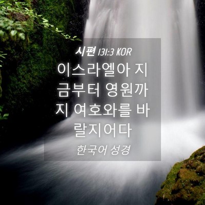 Picture 04 - 시편 131:3 KOR - 이스라엘아 지금부터 영원까지 - Bible Verse Picture