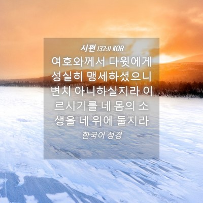 Picture 04 - 시편 132:11 KOR - 여호와께서 다윗에게 성실히 - Bible Verse Picture
