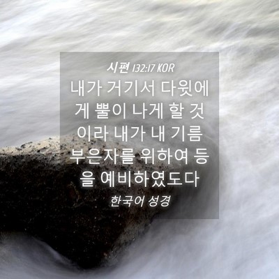 Picture 04 - 시편 132:17 KOR - 내가 거기서 다윗에게 뿔이 나게 할 - Bible Verse Picture