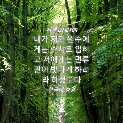 Picture 04 - 시편 132:18 KOR - 내가 저의 원수에게는 수치로 입히고 - Bible Verse Picture