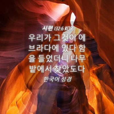 Picture 04 - 시편 132:6 KOR - 우리가 그것이 에브라다에 있다 함을 - Bible Verse Picture