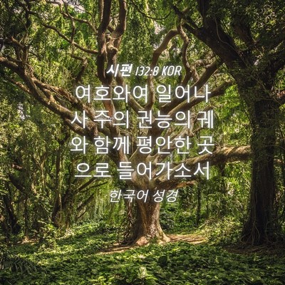 Picture 04 - 시편 132:8 KOR - 여호와여 일어나사 주의 권능의 궤와 - Bible Verse Picture
