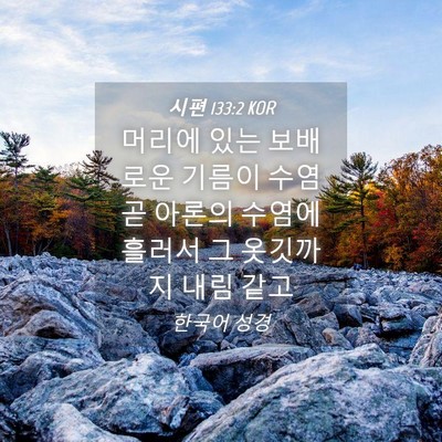 Picture 04 - 시편 133:2 KOR - 머리에 있는 보배로운 기름이 수염 - Bible Verse Picture