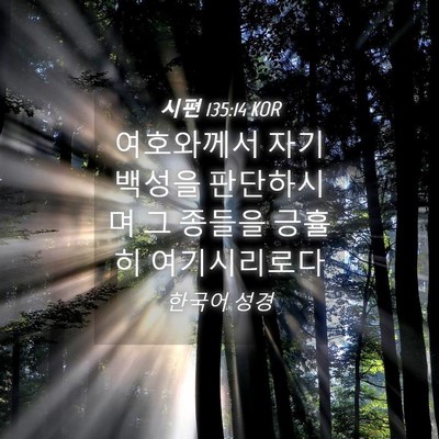 Picture 04 - 시편 135:14 KOR - 여호와께서 자기 백성을 판단하시며 - Bible Verse Picture