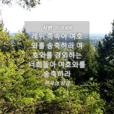 Picture 04 - 시편 135:20 KOR - 레위 족속아 여호와를 송축하라 - Bible Verse Picture