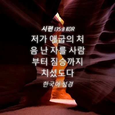 Picture 04 - 시편 135:8 KOR - 저가 애굽의 처음 난 자를 사람부터 - Bible Verse Picture