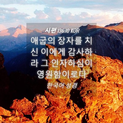 Picture 04 - 시편 136:10 KOR - 애굽의 장자를 치신 이에게 감사하라 - Bible Verse Picture