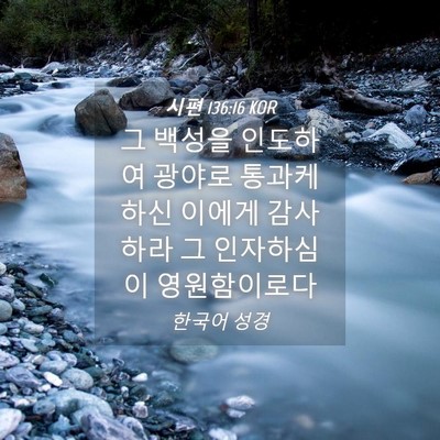 Picture 04 - 시편 136:16 KOR - 그 백성을 인도하여 광야로 통과케 - Bible Verse Picture
