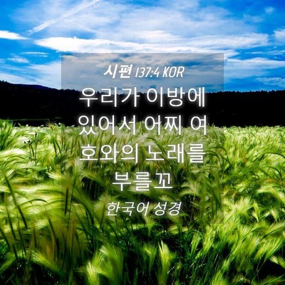Picture 04 - 시편 137:4 KOR - 우리가 이방에 있어서 어찌 여호와의 - Bible Verse Picture