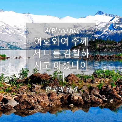 Picture 04 - 시편 139:1 KOR - 여호와여 주께서 나를 감찰하시고 - Bible Verse Picture