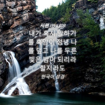 Picture 04 - 시편 139:11 KOR - 내가 혹시 말하기를 흑암이 정녕 - Bible Verse Picture