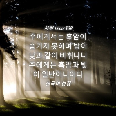 Picture 04 - 시편 139:12 KOR - 주에게서는 흑암이 숨기지 못하며 - Bible Verse Picture