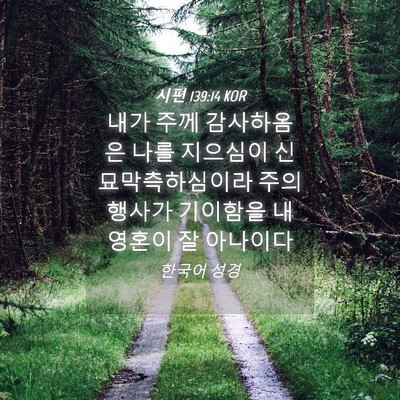 Picture 04 - 시편 139:14 KOR - 내가 주께 감사하옴은 나를 지으심이 - Bible Verse Picture
