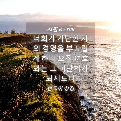Picture 04 - 시편 14:6 KOR - 너희가 가난한 자의 경영을 부끄럽게 - Bible Verse Picture