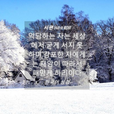 Picture 04 - 시편 140:11 KOR - 악담하는 자는 세상에서 굳게 서지 - Bible Verse Picture