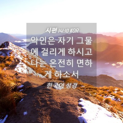 Picture 04 - 시편 141:10 KOR - 악인은 자기 그물에 걸리게 하시고 - Bible Verse Picture