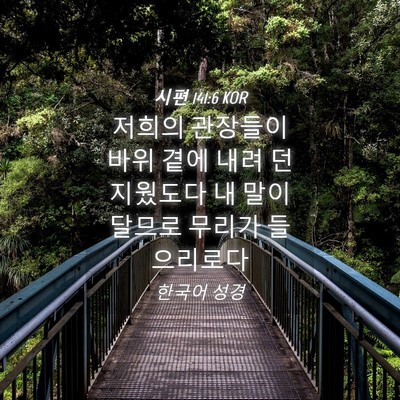 Picture 04 - 시편 141:6 KOR - 저희의 관장들이 바위 곁에 내려 - Bible Verse Picture