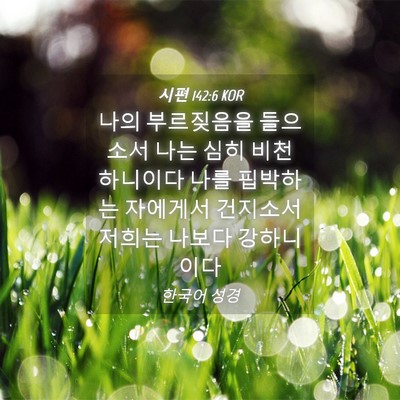 Picture 04 - 시편 142:6 KOR - 나의 부르짖음을 들으소서 나는 심히 - Bible Verse Picture