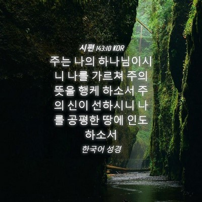 Picture 04 - 시편 143:10 KOR - 주는 나의 하나님이시니 나를 가르쳐 - Bible Verse Picture