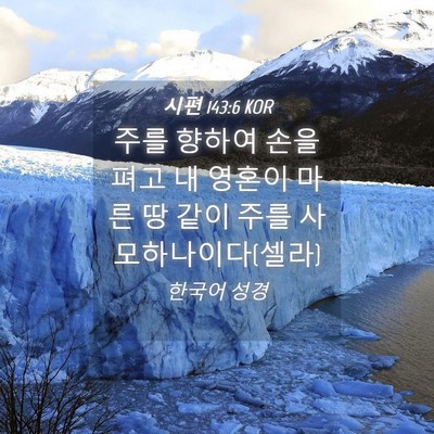 Picture 04 - 시편 143:6 KOR - 주를 향하여 손을 펴고 내 영혼이 - Bible Verse Picture