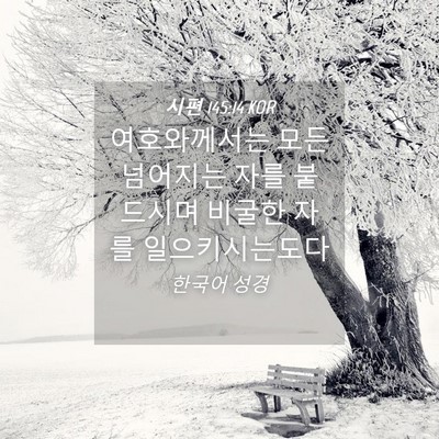 Picture 04 - 시편 145:14 KOR - 여호와께서는 모든 넘어지는 자를 - Bible Verse Picture