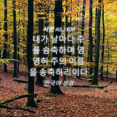 Picture 04 - 시편 145:2 KOR - 내가 날마다 주를 송축하며 영영히 - Bible Verse Picture