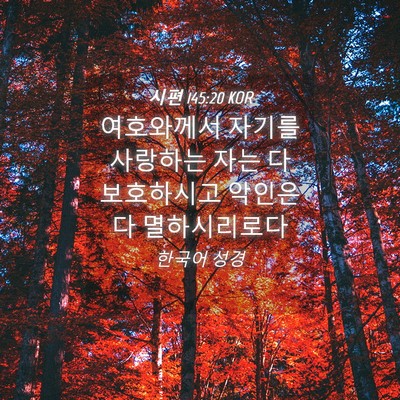 Picture 04 - 시편 145:20 KOR - 여호와께서 자기를 사랑하는 자는 다 - Bible Verse Picture