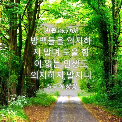 Picture 04 - 시편 146:3 KOR - 방백들을 의지하지 말며 도울 힘이 - Bible Verse Picture