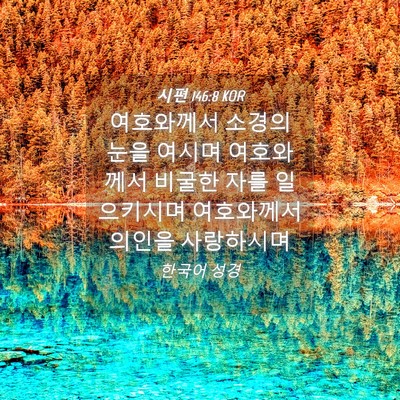 Picture 04 - 시편 146:8 KOR - 여호와께서 소경의 눈을 여시며 - Bible Verse Picture