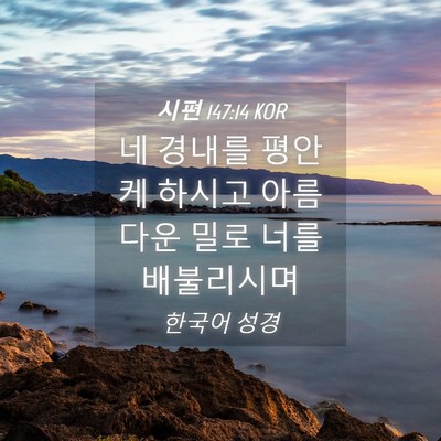 Picture 04 - 시편 147:14 KOR - 네 경내를 평안케 하시고 아름다운 - Bible Verse Picture