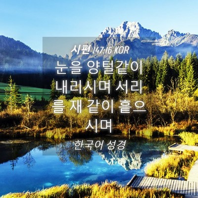 Picture 04 - 시편 147:16 KOR - 눈을 양털같이 내리시며 서리를 재 - Bible Verse Picture
