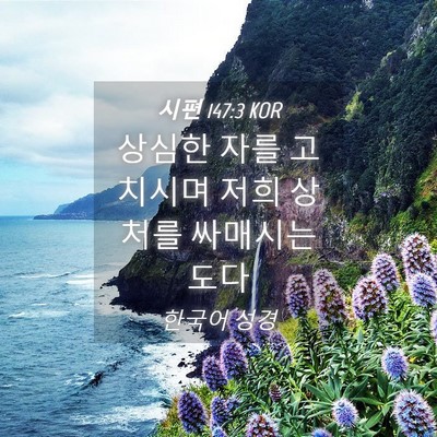 Picture 04 - 시편 147:3 KOR - 상심한 자를 고치시며 저희 상처를 - Bible Verse Picture