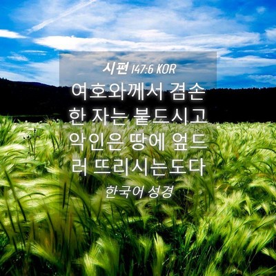 Picture 04 - 시편 147:6 KOR - 여호와께서 겸손한 자는 붙드시고 - Bible Verse Picture