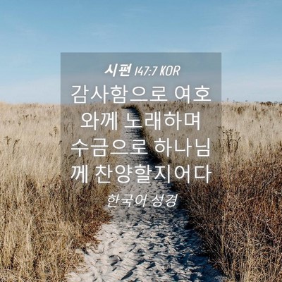Picture 04 - 시편 147:7 KOR - 감사함으로 여호와께 노래하며 - Bible Verse Picture