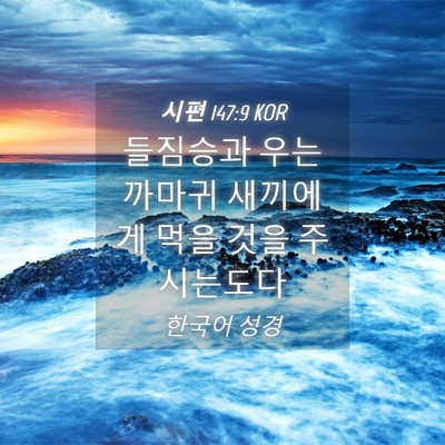 Picture 04 - 시편 147:9 KOR - 들짐승과 우는 까마귀 새끼에게 먹을 - Bible Verse Picture