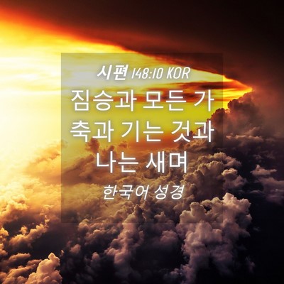 Picture 04 - 시편 148:10 KOR - 짐승과 모든 가축과 기는 것과 나는 - Bible Verse Picture