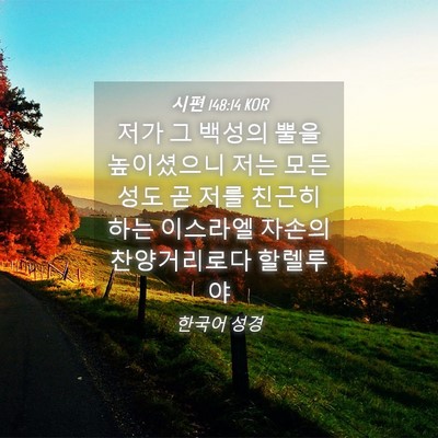 Picture 04 - 시편 148:14 KOR - 저가 그 백성의 뿔을 높이셨으니 - Bible Verse Picture