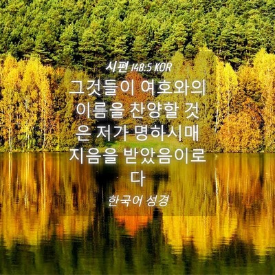 Picture 04 - 시편 148:5 KOR - 그것들이 여호와의 이름을 찬양할 - Bible Verse Picture