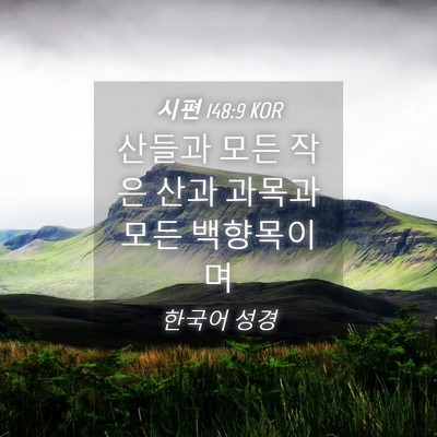 Picture 04 - 시편 148:9 KOR - 산들과 모든 작은 산과 과목과 모든 - Bible Verse Picture