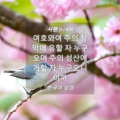 Picture 04 - 시편 15:1 KOR - 여호와여 주의 장막에 유할 자 - Bible Verse Picture