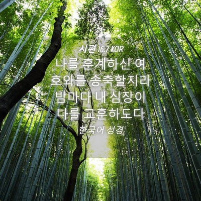 Picture 04 - 시편 16:7 KOR - 나를 훈계하신 여호와를 송축할지라 - Bible Verse Picture