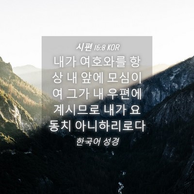 Picture 04 - 시편 16:8 KOR - 내가 여호와를 항상 내 앞에 - Bible Verse Picture