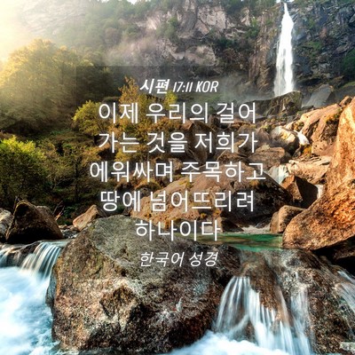 Picture 04 - 시편 17:11 KOR - 이제 우리의 걸어가는 것을 저희가 - Bible Verse Picture