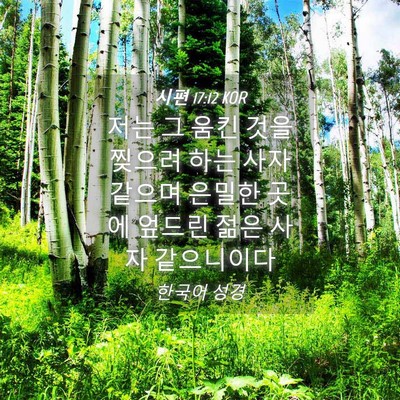 Picture 04 - 시편 17:12 KOR - 저는 그 움킨 것을 찢으려 하는 사자 - Bible Verse Picture