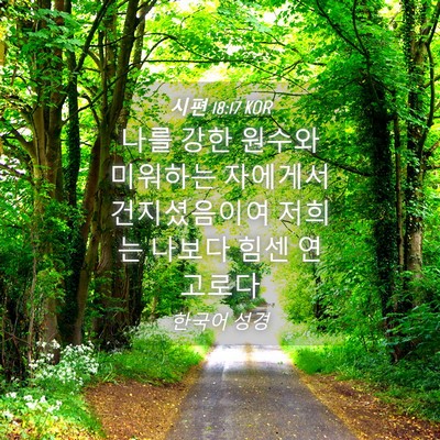 Picture 04 - 시편 18:17 KOR - 나를 강한 원수와 미워하는 자에게서 - Bible Verse Picture
